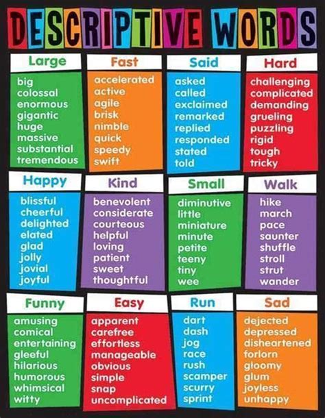 word for examples of.
